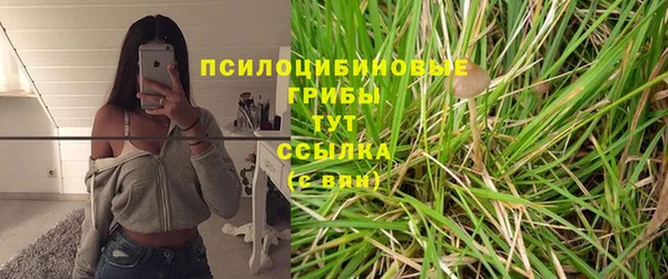 кокаин Богданович